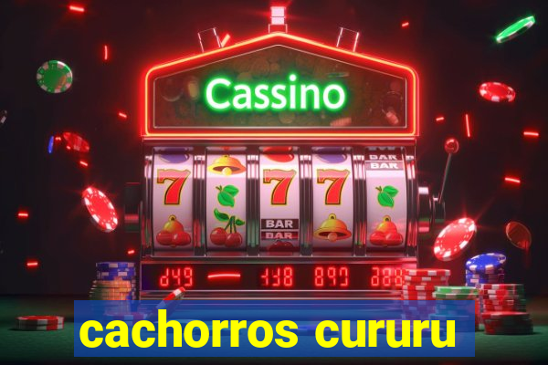 cachorros cururu